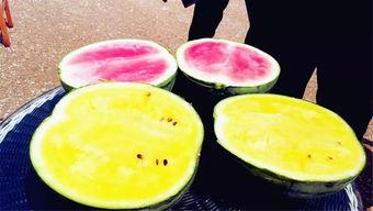 西安吃瓜爆料,街头巷尾的美食风云录