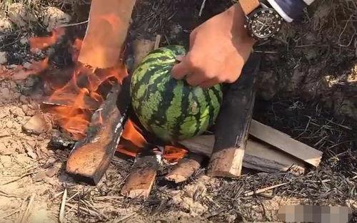 蛋哥吃瓜爆料,娱乐圈最新吃瓜爆料大汇总