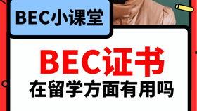 58吃瓜爆料怎么下载,揭秘热门事件幕后真相，深度解析网络热议话题