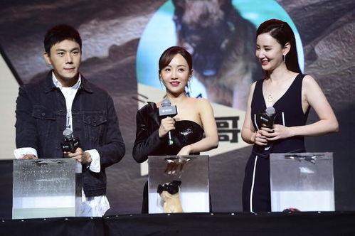 娱乐圈吃瓜博主 合集