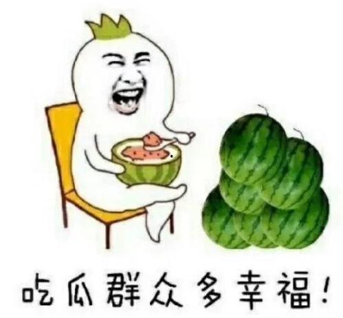 娱乐吃瓜宠物,吃瓜宠物们的欢乐日常